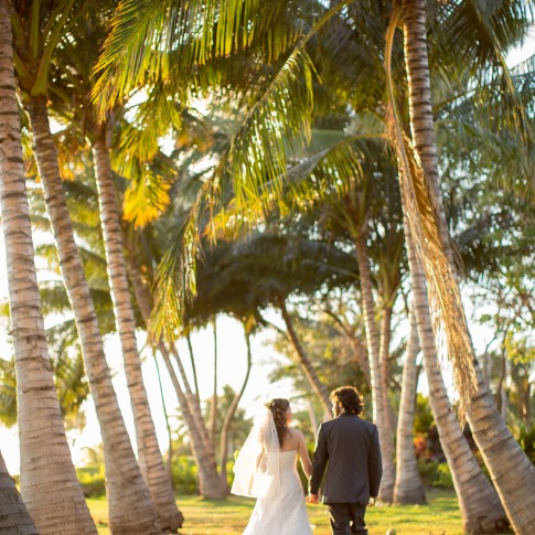 A couple stroll through a palm lined field in the golden light.