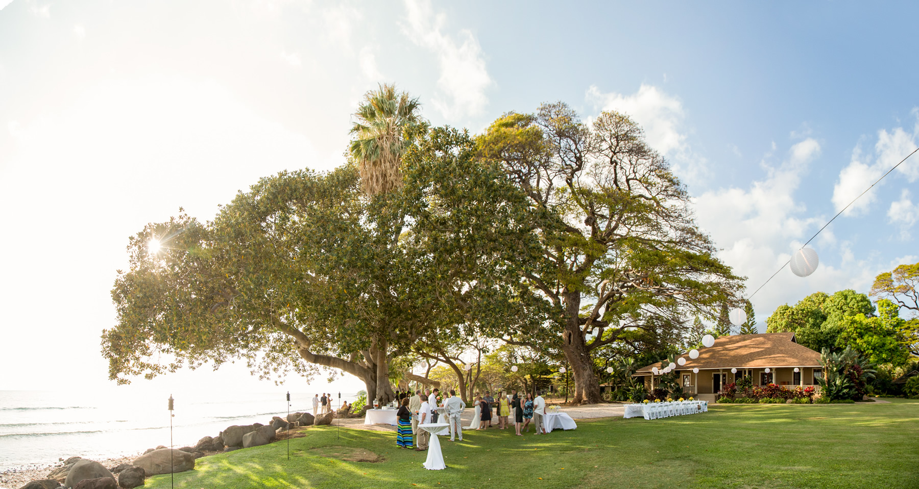 The sun peeks through a Banyan tree at the wedding reception at Olowalu Maui.