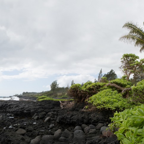 An intimate wedding ceremony is photographed as a panorama in Hana, Maui.