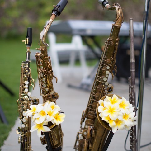 Photograph of plumeria flowers sticking out of Saxaphones.