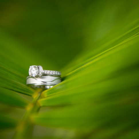 Photo of bride and groom's rings set in a palm frond.