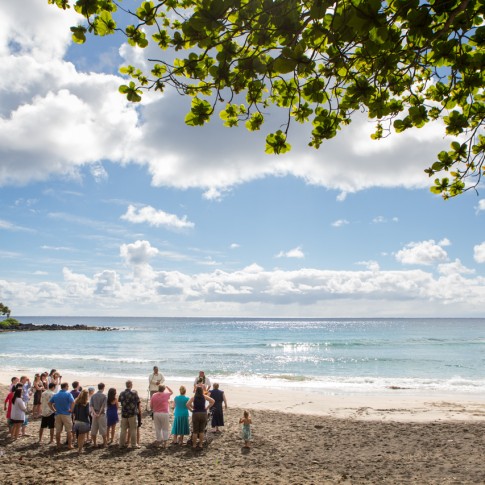 Photo of a wedding ceremony being held on a white sand beach of Hana